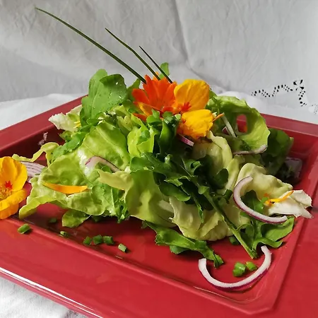 Gite, Piscine Et Table D Hotes En Campagne Gersoise דירה *